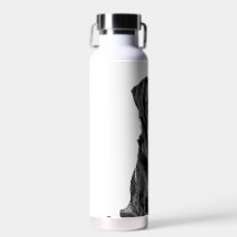 Niedliches Labrador Black Doppy-Welpen