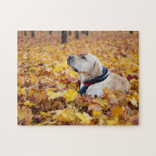 Niedliches Labrador Hund in Herbstlauben Puzzle (Horizontal)