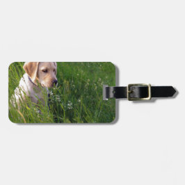 Niedliches Labrador Welpe im Gras Gepäckanhänger