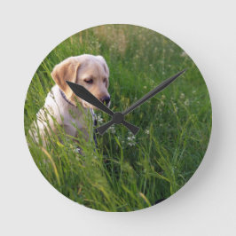 Niedliches Labrador Welpe im Gras Runde Wanduhr