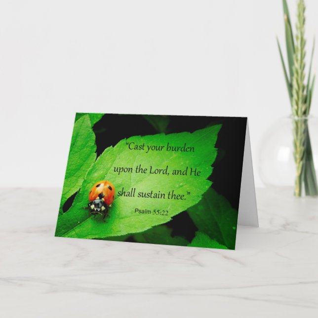 Niedliches Ladybug "God Cares for You"-Buch Karte (Vorderseite)