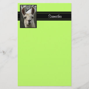 Niedliches Lama-personalisiertes Briefpapier