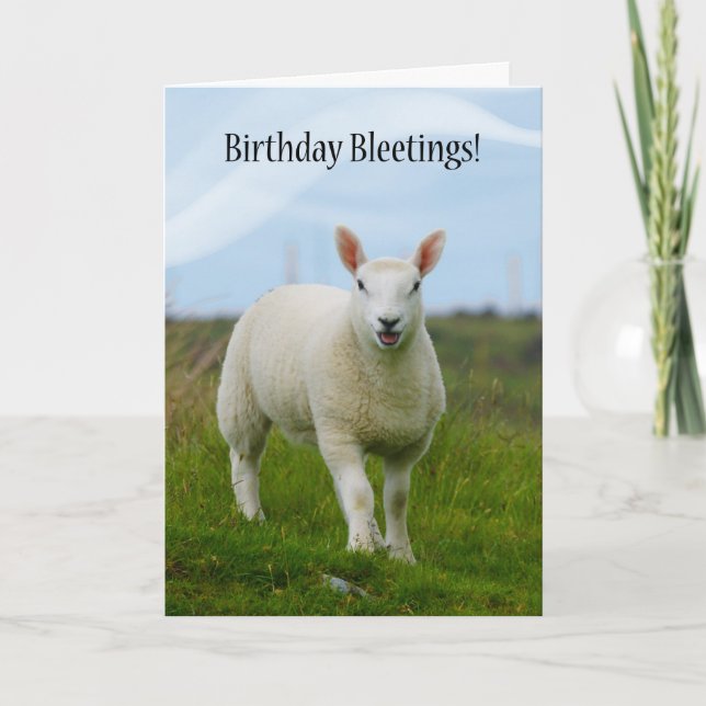 Niedliches Lamm - Birthday Bleetings - Lamm in Fie Karte (Vorderseite)
