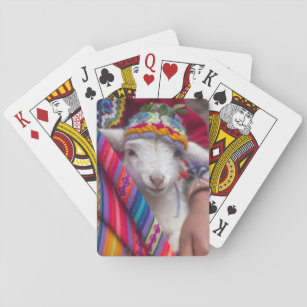 Niedliches Lamm-Schaftier-Spielkarten Spielkarten