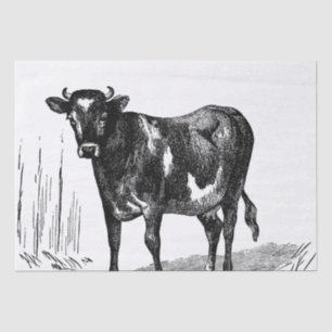 Niedliches Land Vintage Kuhfarm Party Seidenpapier