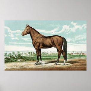 Niedliches Land Vintage Pferdededekor-Plakat Poster