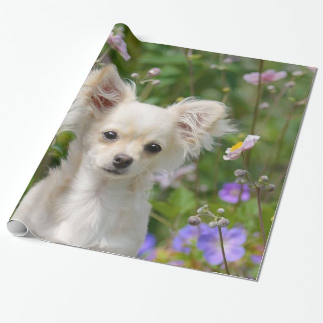 Niedliches Langhaar Chihuahua Dog Welpe Foto Geschenkpapier (Ungerollt)
