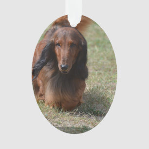 Niedliches langhaariges Daschund Ornament