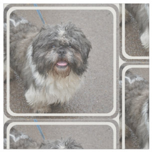 Niedliches Lhasa Apso Stoff