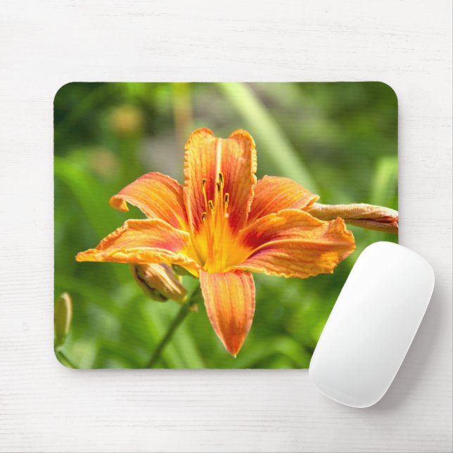 Niedliches Lily Blume Foto Mousepad (Mit Mouse)