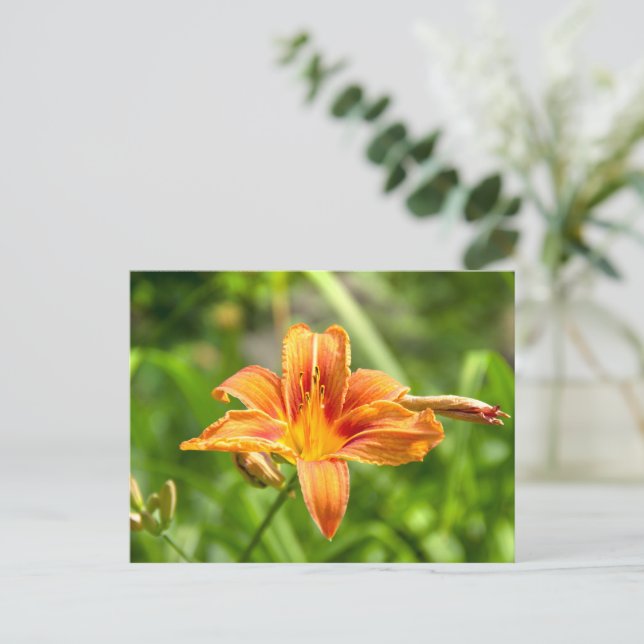 Niedliches Lily Blume Foto Postkarte (Stehend Vorderseite)