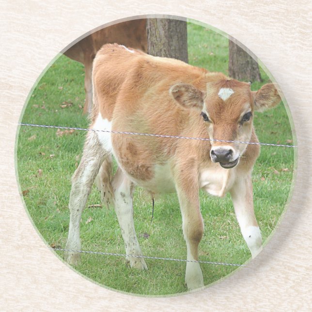 Niedliches Little Calf Getränkeuntersetzer (Vorne)