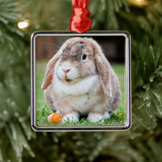 Niedliches Lop-Eared Kaninchen im Gras mit Karotte Ornament Aus Metall (Baum)
