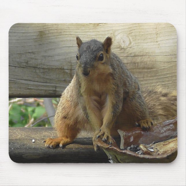 Niedliches lustiges Eichhörnchen Computer Mousepad (Vorne)