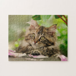 Niedliches Maine Coon Kätzchen in einem Garten - Puzzle