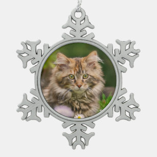 Niedliches Maine Coon Kitten Cat Portrait Foto ** Schneeflocken Zinn-Ornament