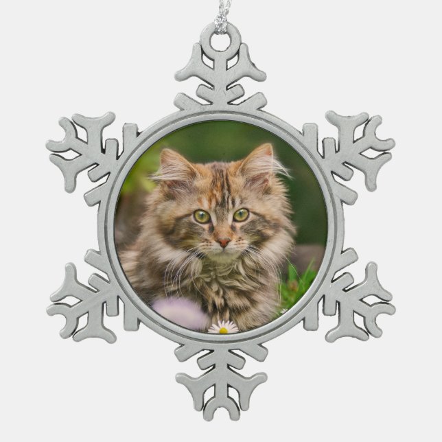Niedliches Maine Coon Kitten Cat Portrait Foto ** Schneeflocken Zinn-Ornament (Vorderseite)
