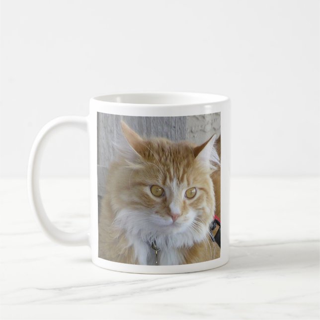 Niedliches Maine Coon Kitten Nah-Up-Foto Tasse (Links)