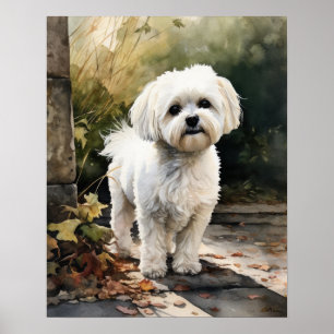 Niedliches maltesisches Dog Art Print Poster