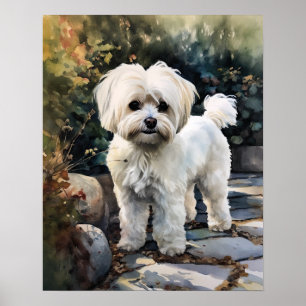 Niedliches maltesisches Dog Art Print Poster