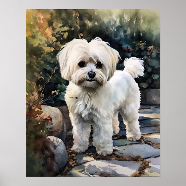 Niedliches maltesisches Dog Art Print Poster (Vorne)
