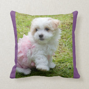 Niedliches maltesisches Poodl Throw-Kissen Kissen