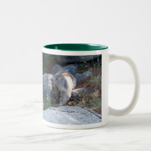 Niedliches Marmot — Schweizer Tasse