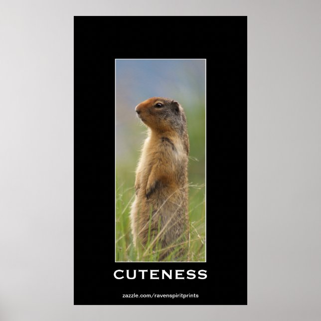 Niedliches Marmot Wildlife Motivierend Foto Poster (Vorne)