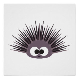 Niedliches Meer Urchin Poster