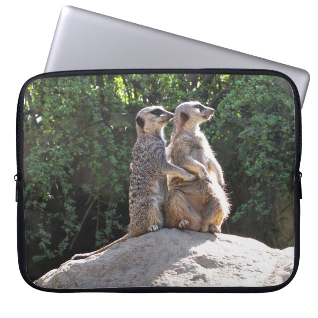 Niedliches Meerkat Couple auf Rock Laptop Case (Vorderseite)