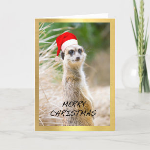 "Niedliches Meerkat" Entwurf Weihnachtskarte Feiertagskarte