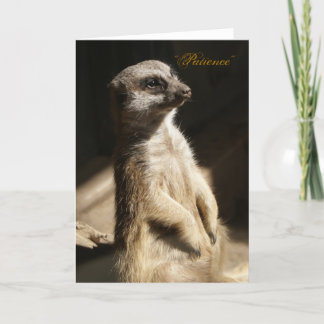 Niedliches Meerkat "Geduld" irgendeine Karte