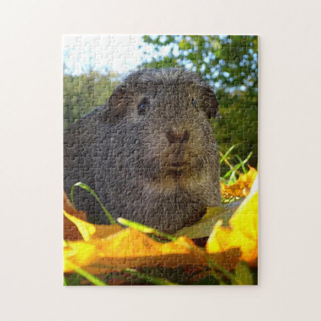 Niedliches Meerschweinchen in der Natur Puzzle (Vertikal)