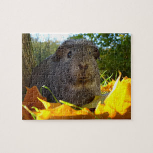 Niedliches Meerschweinchen in der Natur Puzzle
