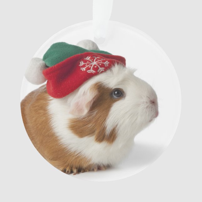 Niedliches Meerschweinchen mit Weihnachtshut auf Ornament (Vorderseite)