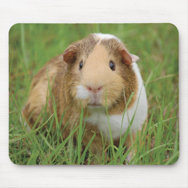 Niedliches Meerschweinchen Mousepad (Vorne)