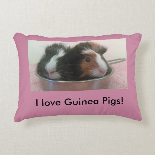 niedliches Meerschweinchenkissen Zierkissen (Vorderseite)