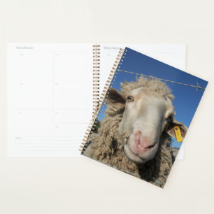 Niedliches Merino-Schafschaf Planer