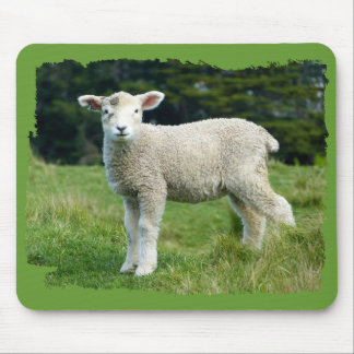 Niedliches Muddy Lamb Baby Sheep in Meadow Mousepad