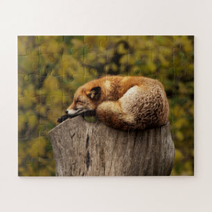 Niedliches Napping Fox Jigsaw Puzzle Wildlife