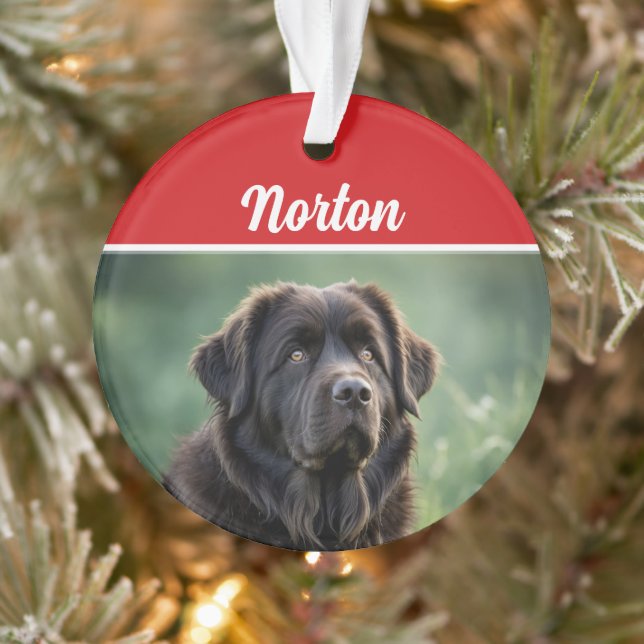 Niedliches Neufundland Dog Holiday Weihnachten Fot Ornament (Baum)