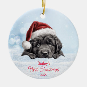 Niedliches Neufundland Hunde Schnee Weihnachtsmann Keramik Ornament