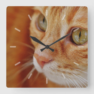 Niedliches orange Tabby-Katzen-Gesichts-nahes Quadratische Wanduhr