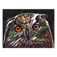 NIEDLICHES OWL