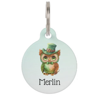 Niedliches Owl in einem grünen Top Hat Haustiermarke