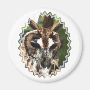 NIEDLICHES OWL MAGNET