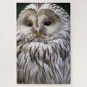 NIEDLICHES OWL PUZZLE