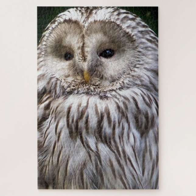 NIEDLICHES OWL PUZZLE (Vertikal)