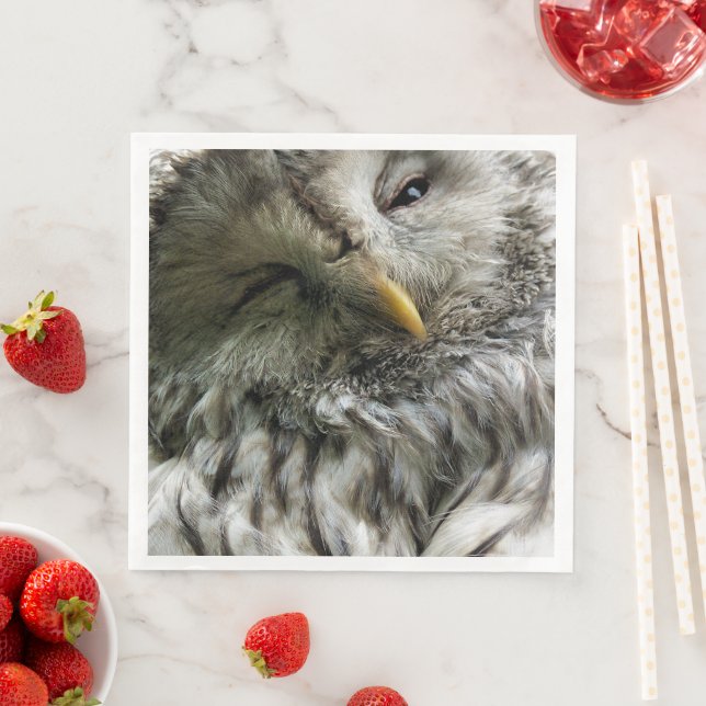 NIEDLICHES OWL SERVIETTE (Beispiel)