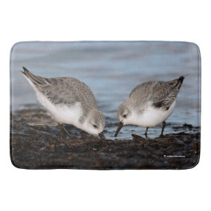 Niedliches Paar Sanderlings Shares a Seaside Meal Badematte